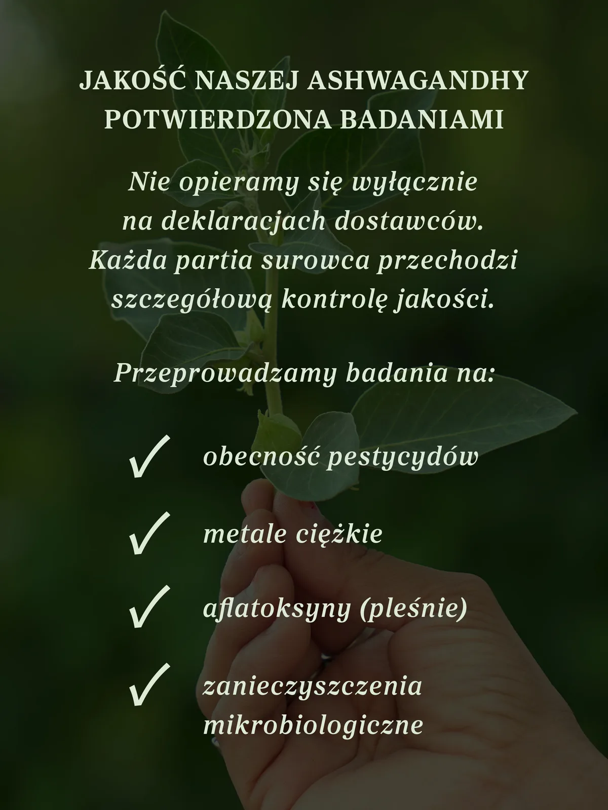 Zdjęcie produktu