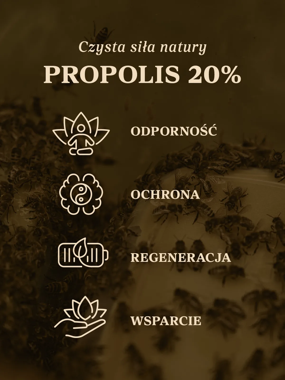 Zdjęcie produktu
